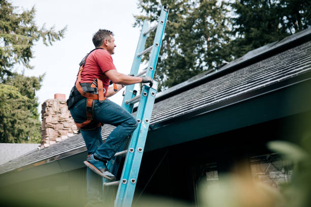 Best Roof Maintenance and Cleaning  in Salmon, ID