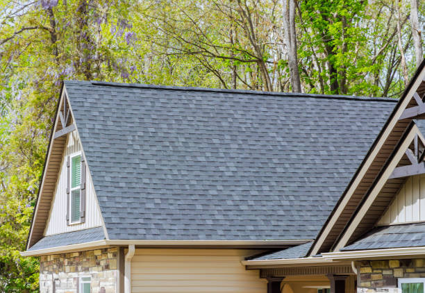 Best Asphalt Shingle Roofing  in Salmon, ID